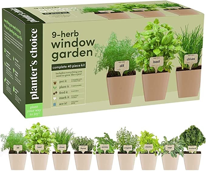 9_herb_window_garden_indoor_herb_starter_kit